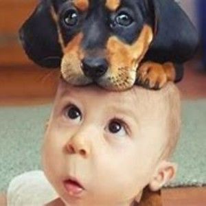 Meet your Posher, Peter